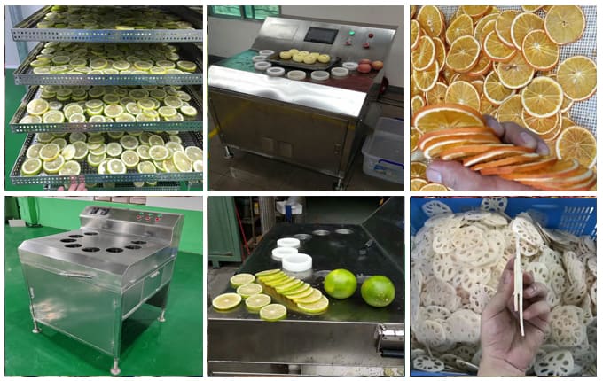 mango-cutting-machine-best-manufacturer-hanghui-machinery