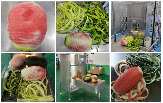 watermelon peeling machine manufacturer