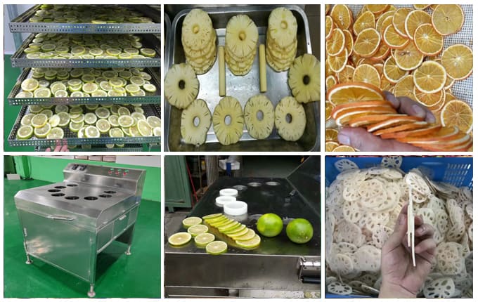 pineapple slicing machine